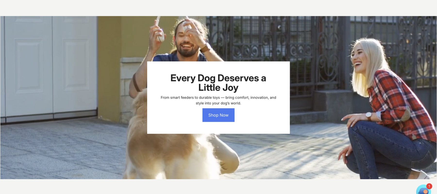 Видеоблок Every Dog Deserves a Little Joy на главной странице магазина