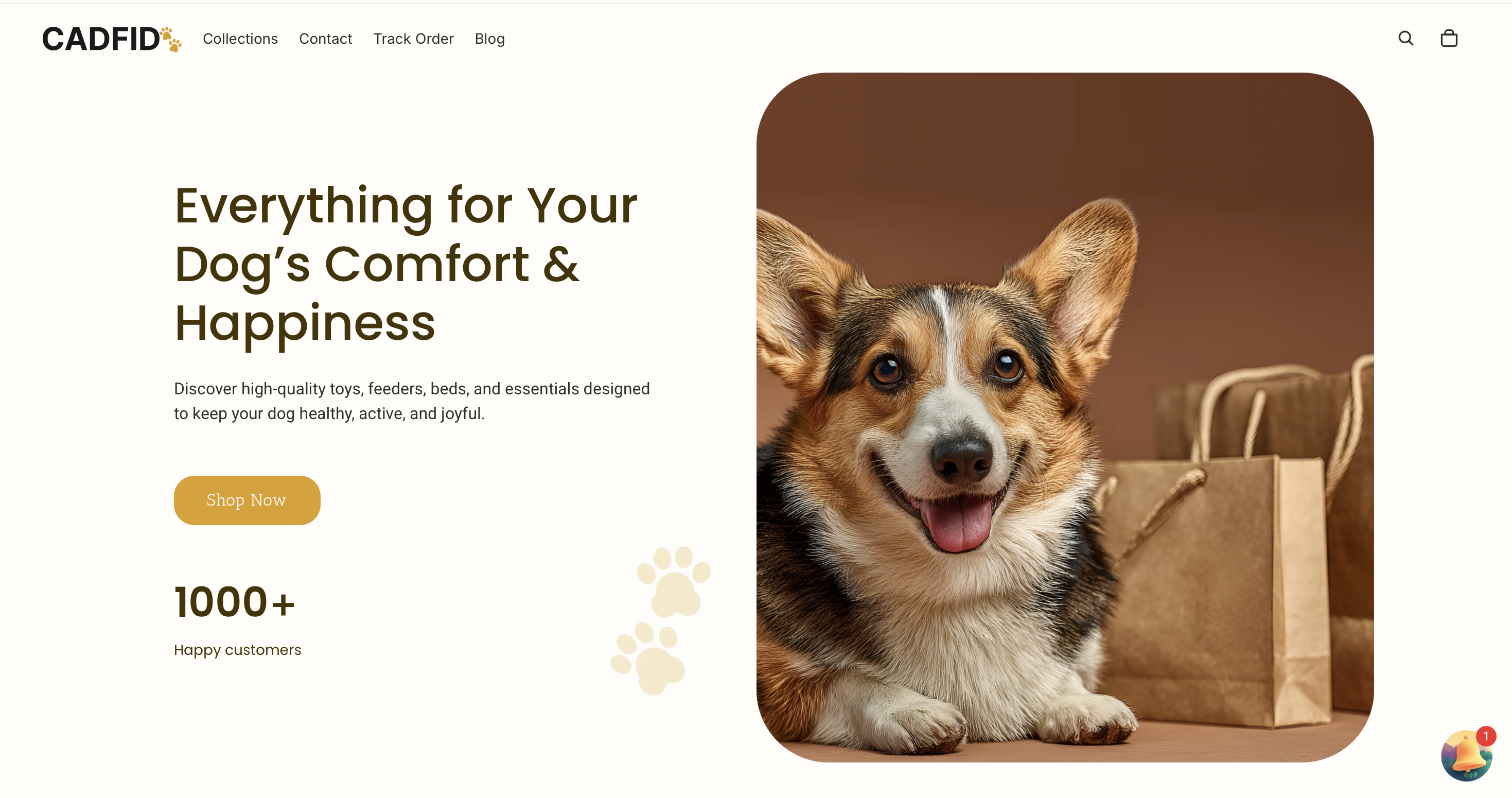 Пример дизайна Shopify магазина