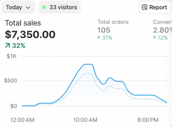 Результат клиентского проекта — продажи Shopify за сегодня